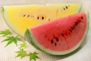 娱乐吃瓜酱属于什么,揭秘娱乐圈幕后故事与热点事件